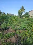 Residential Plot for Sale, Ungindoni, Kigamboni - 4