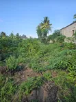 Residential Plot for Sale, Ungindoni, Kigamboni - 5