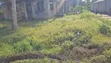 Residential Plot for Sale in Dar es Salaam, Ungindoni Kigamboni - 2