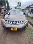 Nissan Murano 2007 Gray - 1