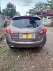 Nissan Murano 2007 Gray - 2