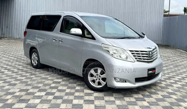 Toyota Alphard 2009 Silver - 1