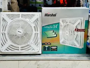 Marshal Surface Ceiling Fan 14-inch