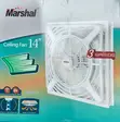 Marshal Surface Ceiling Fan 14-inch - 2