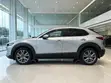 Mazda CX-30 2019 Silver - 2