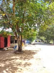 4000sqm Plot for Sale at Bahar Beach - 2