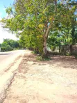 4000sqm Plot for Sale at Bahar Beach - 4