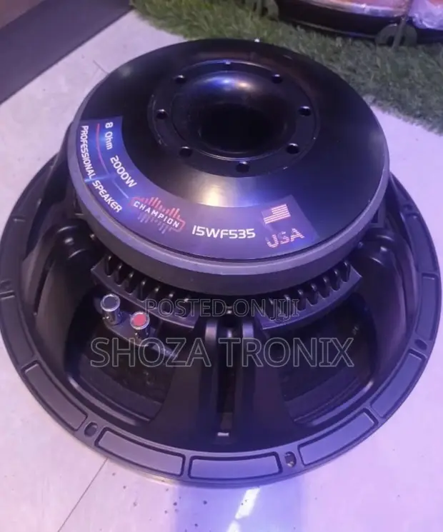 Champion 15WF535 15-Inch Professional Speaker - 1