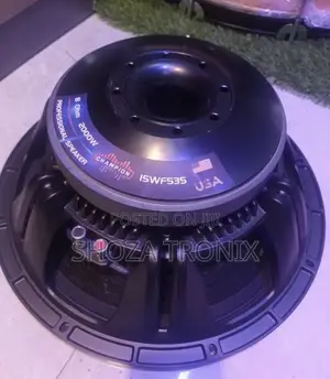Champion 15WF535 15-Inch Professional Speaker