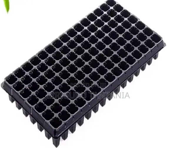 Nurseries Minvalve Seedlings - 1
