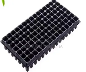 Nurseries Minvalve Seedlings