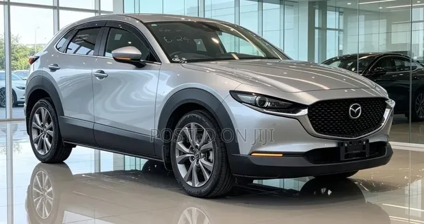 Mazda CX-30 2019 Silver Metallic - 1