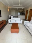 Furnished 4-Bedroom Apartment for Rent in Oysterbay - 4