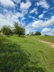 Land for Sale - Madale Kwa Wasandawe - 2