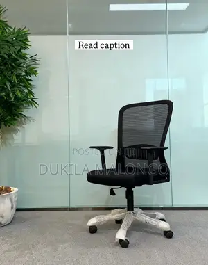Zuo Modern Office Chair - Height Adjustable