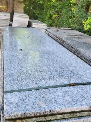 Granite Tiles for Kitchens, Floors, Graves