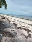 Beach Plot for Sale in Pangani, Tanga - 1