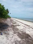 Beach Plot for Sale in Pangani, Tanga - 2