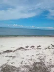 Beach Plot for Sale in Pangani, Tanga - 3