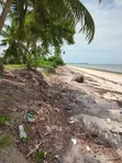Beach Plot for Sale in Pangani, Tanga - 4