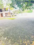 7 Bedroom House for Rent in Masaki - 5