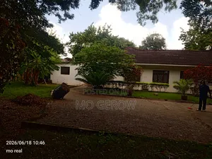 5 Bedroom Bungalow for Rent in Oyster Bay