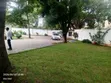 Bungalow ya Vyumba 5 vya Kulala Oyster Bay kwa Ajili ya Kukodisha - 3