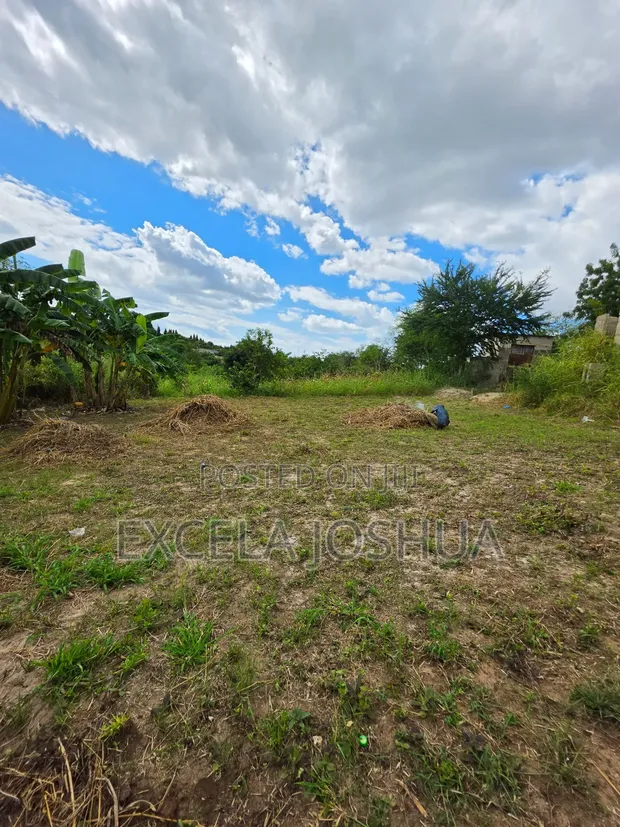 Land for Sale - 400 sqm, Madale Mbopo Mabanda ya Kuku - 1