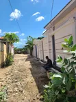 Furnished 4-Bedroom House for Sale in Biriani Real Estate, Chamazi - 3