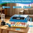 Mayai 64 Fully Automatic Incubator - 3