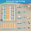 Mayai 64 Fully Automatic Incubator - 4