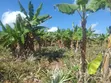 Farm Land for Sale, Kiwangwa Bagamoyo - 1