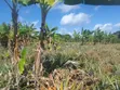 Farm Land for Sale, Kiwangwa Bagamoyo - 2