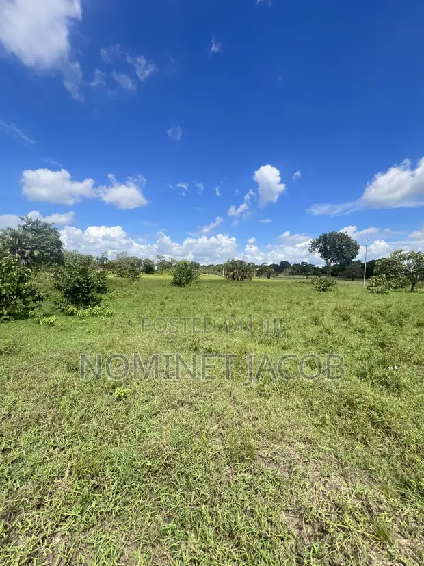 Industrial Plot for Sale in Bagamoyo Kerege - 1