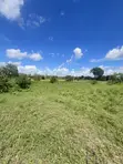 Industrial Plot for Sale in Bagamoyo Kerege - 1