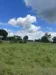 Industrial Plot for Sale in Bagamoyo Kerege - 2