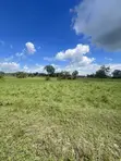 Industrial Plot for Sale in Bagamoyo Kerege - 3