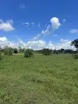 Industrial Plot for Sale in Bagamoyo Kerege - 4