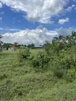 Industrial Plot for Sale in Bagamoyo Kerege - 5