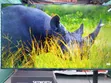 Skyworth 65 Inch 4K UHD Smart TV - 4
