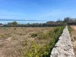 Prime Beachfront Plot for Sale, Makunduchi Zanzibar - 4