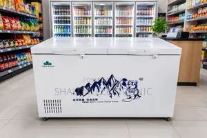 Freezer ya Kifua ya Three River - Mpya Kabisa