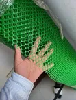 Chicken Coop Netting - Strong Plastic - 3