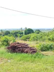 Commercial Land for Sale - Kunduchi Beach - 2