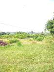 Commercial Land for Sale - Kunduchi Beach - 4