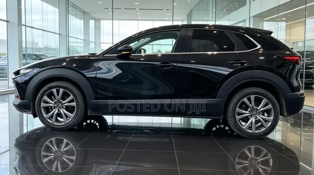 Mazda CX-30 2019 Metallic Black - 1