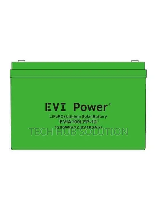 Deye Evia100lfp-12 12.8V 100Ah LiFePO4 Lithium Battery - 1