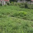 Land for Sale in Changanyikeni Near Statistics College - 4