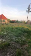 Residential Plot for Sale in Nyamhoro, Mwanza - 3