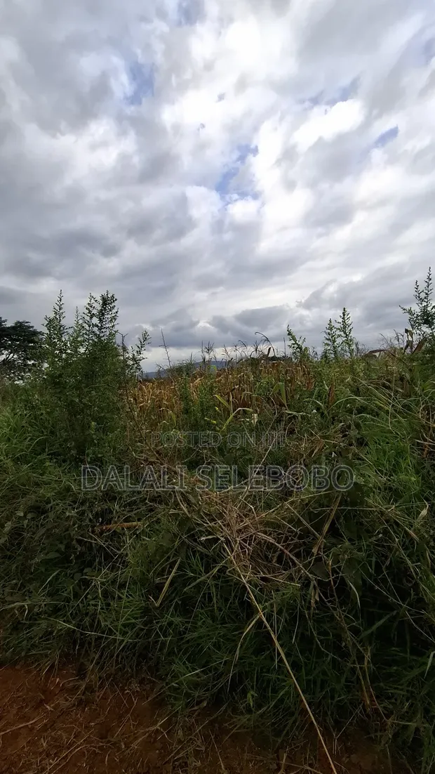 7.93 Hectare Gold Mining Plot for Sale in Chunya, Mbeya - 1